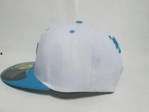 帽子图片壁纸欧美,帽子图片壁纸,演绎时尚与个性的完美融合